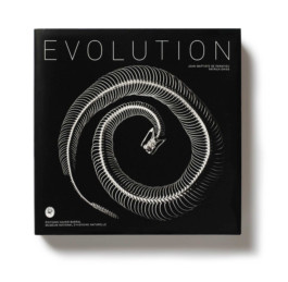 Evolution: In Action - Photographs byPatrick Gries | LensCulture