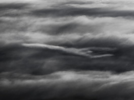 Patrick Gries