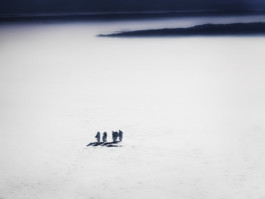 Patrick Gries