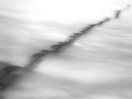 Patrick Gries