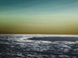 Patrick Gries